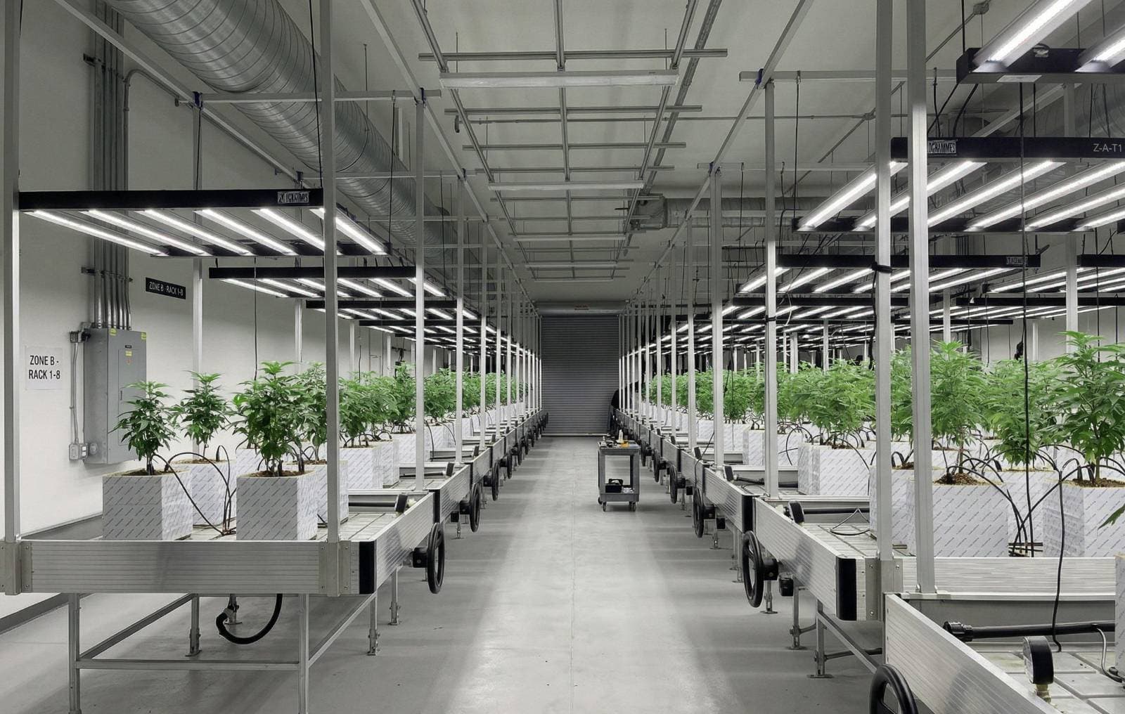 Farma PlantMe