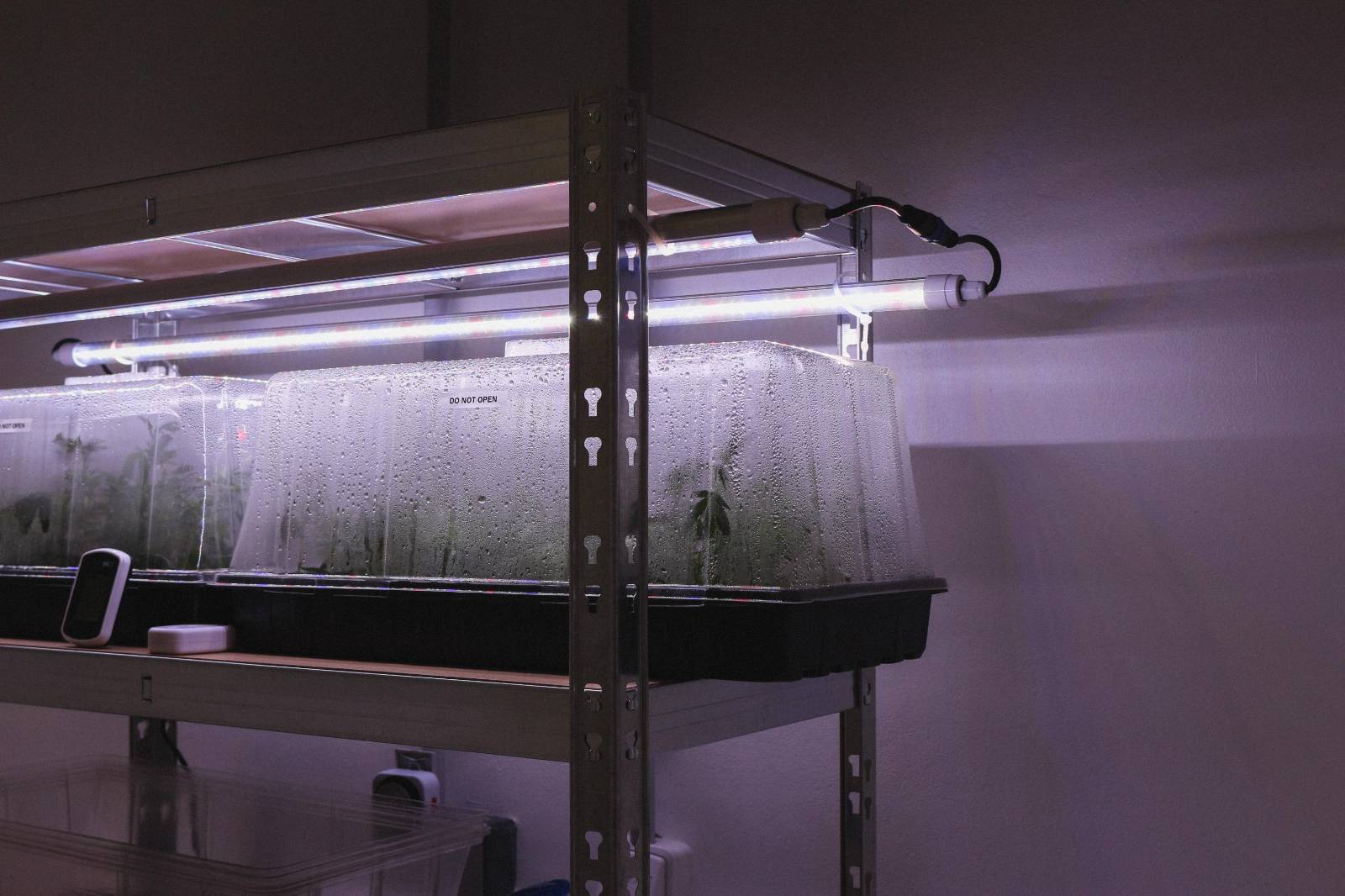 Farma PlantMe